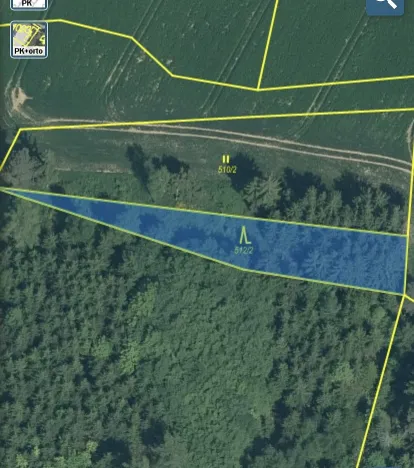 Prodej lesa, Čepřovice, 982 m2