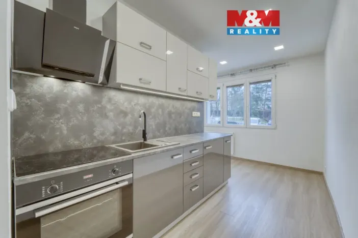 Pronájem bytu 2+1, Plzeň - Lobzy, Revoluční, 57 m2