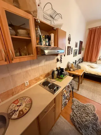 Prodej bytu 1+kk, Mariánské Lázně, Chebská, 35 m2