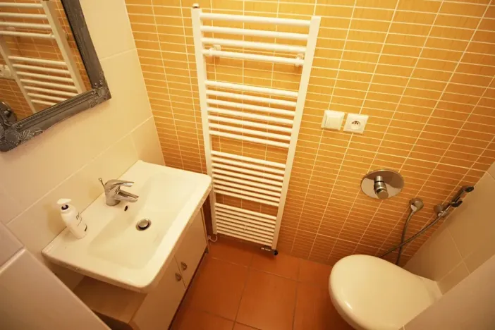 Pronájem bytu 1+kk, Teplice, Alejní, 31 m2