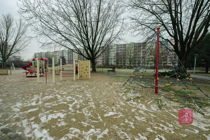 Prodej bytu 3+1, Brno, Schwaigrova, 79 m2