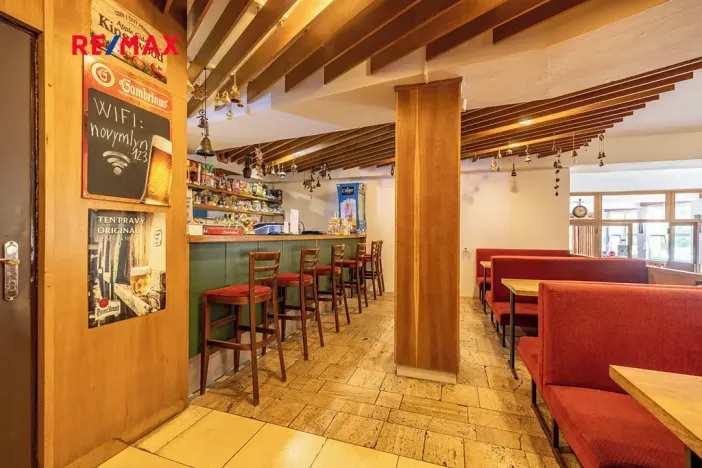 Prodej rodinného domu, Doksy, Pod Borným, 1700 m2