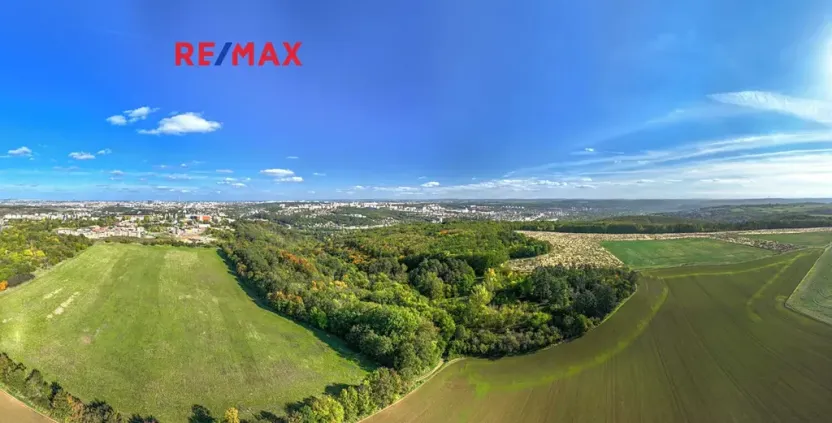 Prodej lesa, Praha - Malá Chuchle, 17570 m2