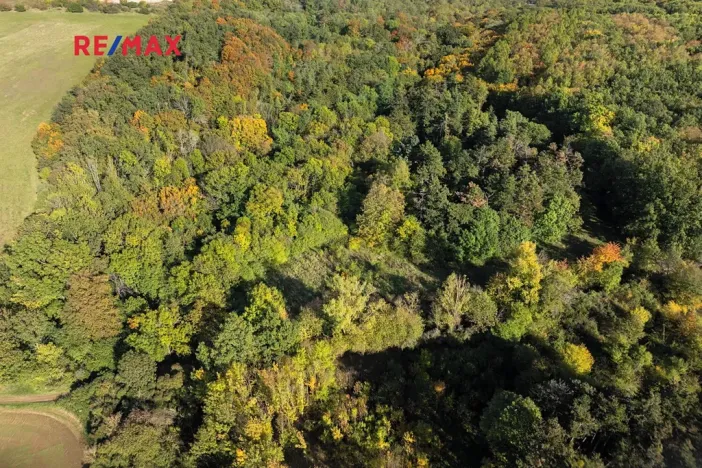 Prodej lesa, Praha - Malá Chuchle, 17570 m2