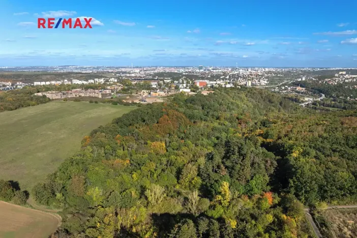 Prodej lesa, Praha - Malá Chuchle, 17570 m2