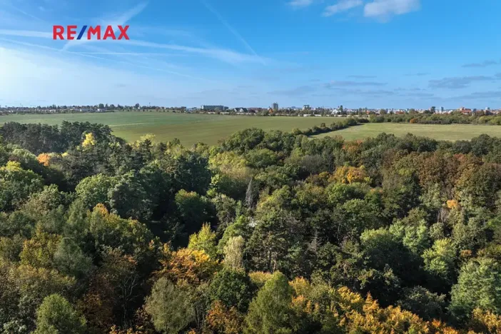 Prodej lesa, Praha - Malá Chuchle, 17570 m2