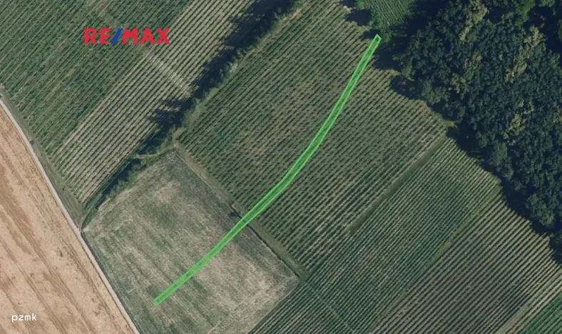 Prodej sadu/vinice, Josefov, 1165 m2