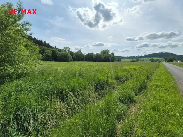 Prodej komerčního pozemku, Linhartice, 12284 m2