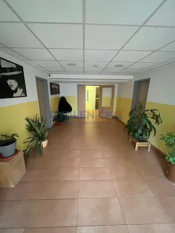 Prodej bytu 1+1, České Budějovice, K. Chocholy, 44 m2