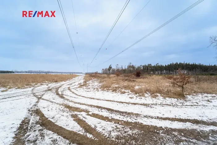 Prodej pole, Veltruby, 10898 m2