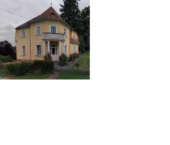 Dražba rodinného domu, Nečtiny, 233 m2