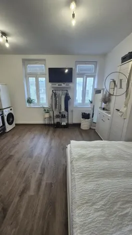 Pronájem bytu 1+kk, České Budějovice, Reinerova, 18 m2