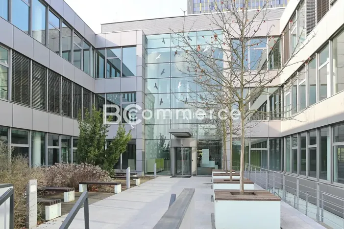 Pronájem kanceláře, Brno, 600 m2