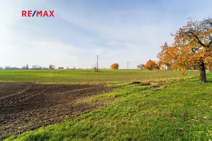 Prodej pozemku pro bydlení, Všechlapy, 9214 m2