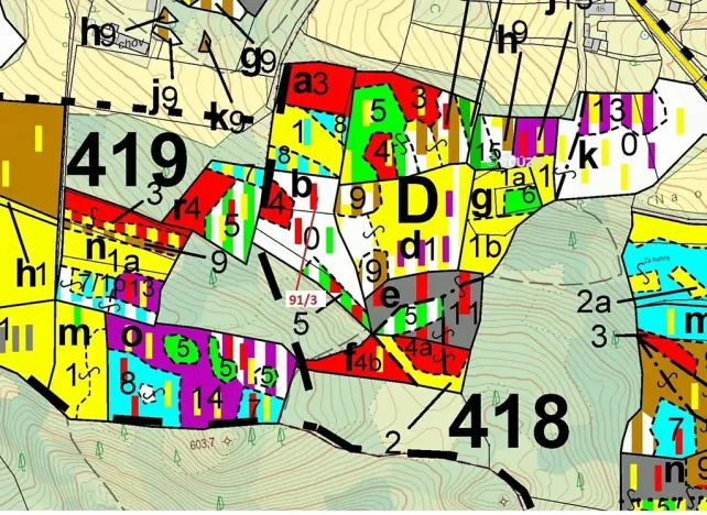 Dražba lesa, Pačejov, 1958 m2