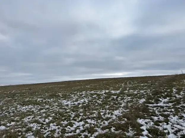 Dražba pole, Litoměřice, 8107 m2