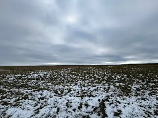 Dražba pole, Litoměřice, 8107 m2