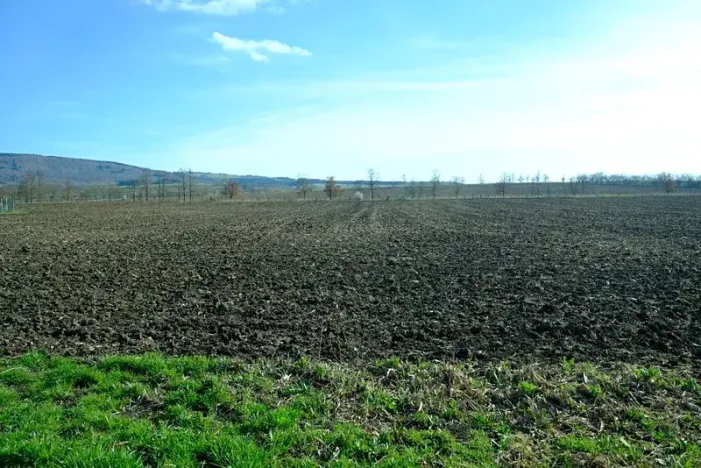 Prodej pozemku pro bydlení, Suchá Loz, 1739 m2