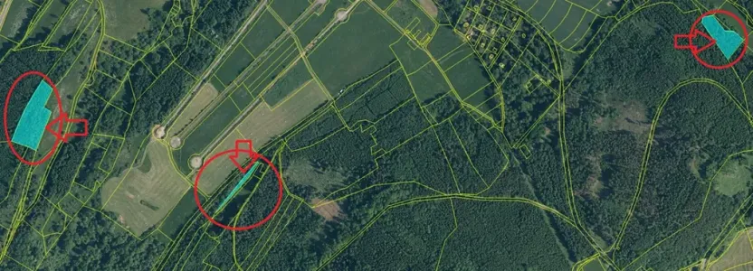 Prodej lesa, Poleň, 11901 m2