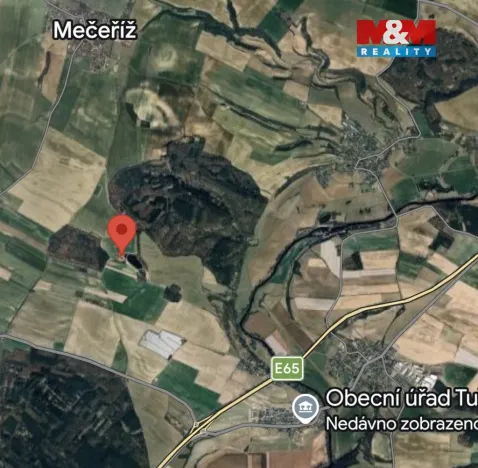 Prodej lesa, Tuřice, 7985 m2