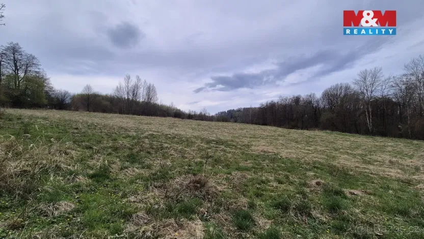 Prodej louky, Česká Kamenice - Dolní Kamenice, 22628 m2