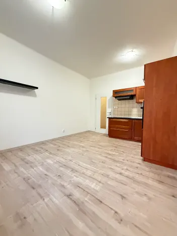 Prodej bytu 1+1, Plzeň, Tělocvičná, 47 m2