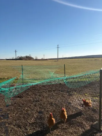 Prodej rodinného domu, Vysoké Veselí, 79 m2