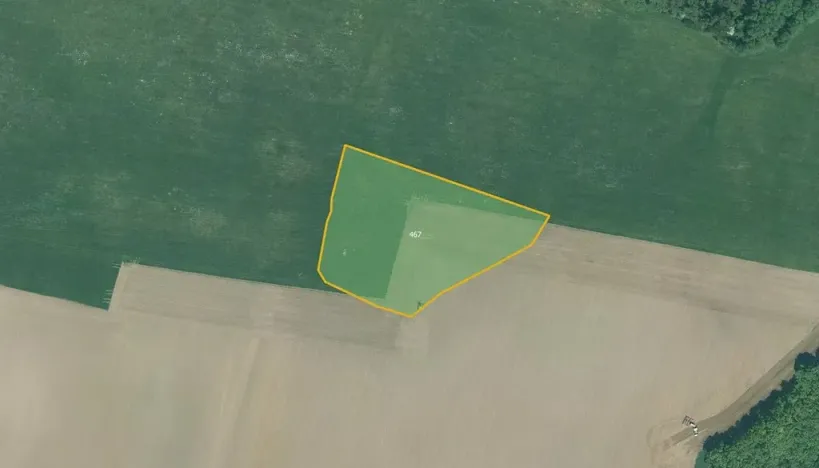 Prodej pole, Bor, 44369 m2