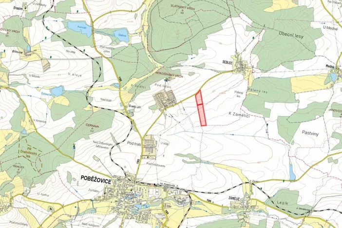 Prodej podílu pole, Poběžovice, 28823 m2