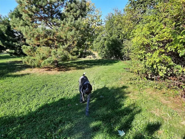 Pronájem bytu 3+kk, Praha, Kytlická, 80 m2