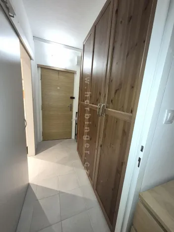 Pronájem bytu 1+kk, Ostrava - Moravská Ostrava, Gen. Janouška, 30 m2