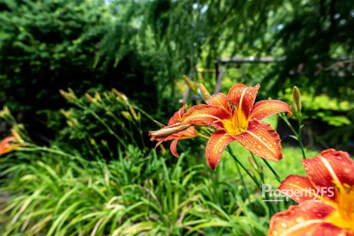 Prodej zahrady, Děčín - Děčín VII-Chrochvice, Mendelova, 578 m2