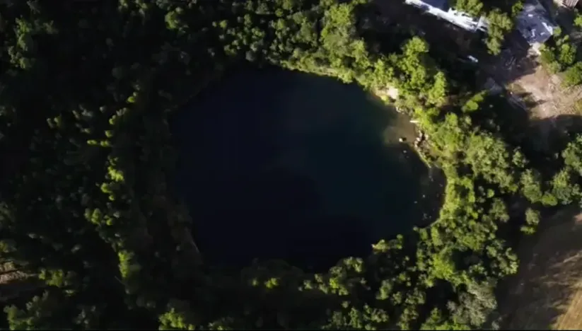 Prodej rybníku, Lipová, 80000 m2