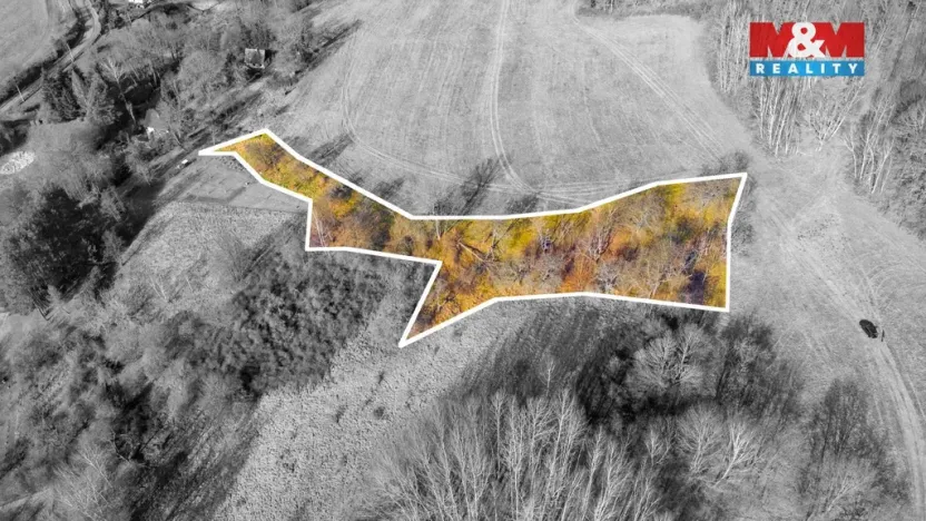 Prodej louky, Žandov - Radeč, 3251 m2