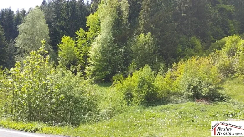 Prodej pozemku pro bydlení, Tanvald, 7310 m2