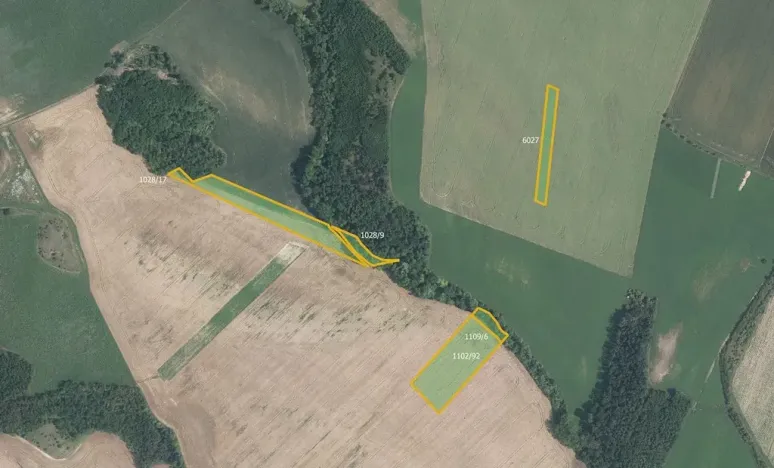 Prodej podílu pole, Džbánice, 6896 m2