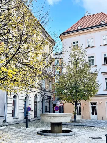 Pronájem bytu 2+1, Praha - Nové Město, Helmova, 71 m2