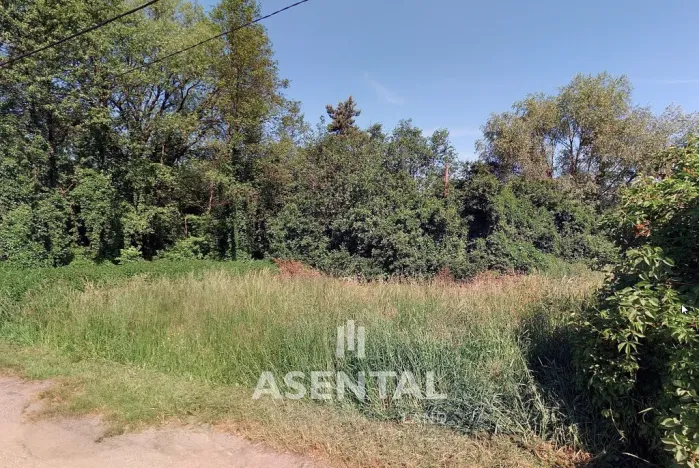 Prodej pozemku, Karviná, 3244 m2