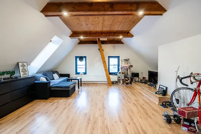 Prodej vícegeneračního domu, Hostinné, Dolní brána, 255 m2