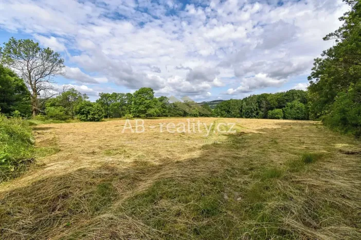 Prodej louky, Úštěk, 131865 m2