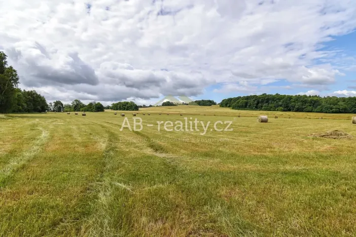 Prodej louky, Úštěk, 131865 m2