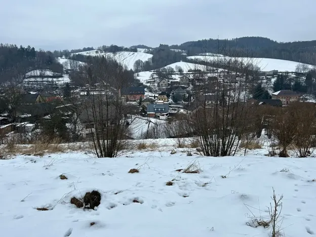 Dražba pozemku pro bydlení, Bušín, 3553 m2
