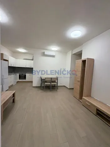 Pronájem bytu 3+kk, České Budějovice, Rožnovská, 61 m2