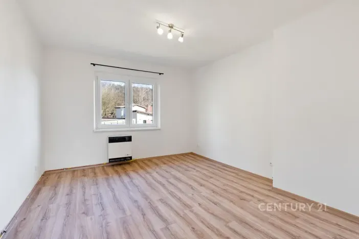 Pronájem bytu 1+1, Děčín, Riegrova, 37 m2