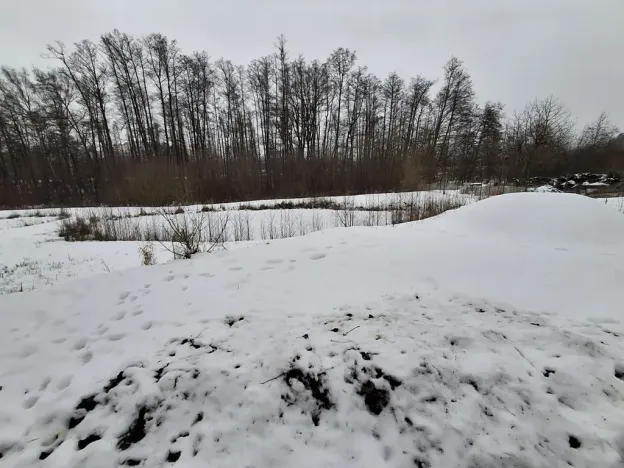 Prodej pozemku, Odrava, 5732 m2