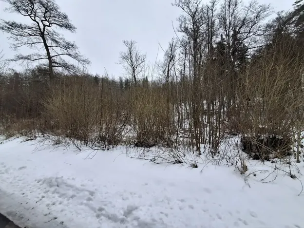 Prodej pozemku, Odrava, 5732 m2