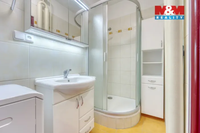 Pronájem bytu 2+1, Plzeň - Východní Předměstí, Francouzská třída, 55 m2