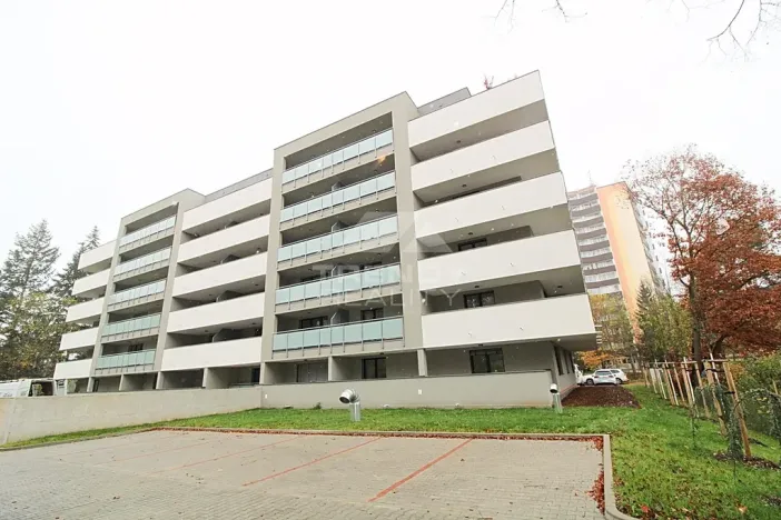 Pronájem bytu 1+kk, Plzeň, Heyrovského, 40 m2