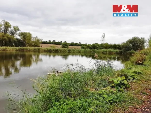 Prodej rybníku, Chotiměř, 28601 m2
