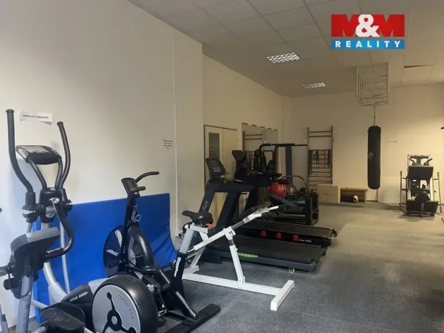 Prodej bytu 4+kk, Liberec - Liberec III-Jeřáb, Americká, 103 m2